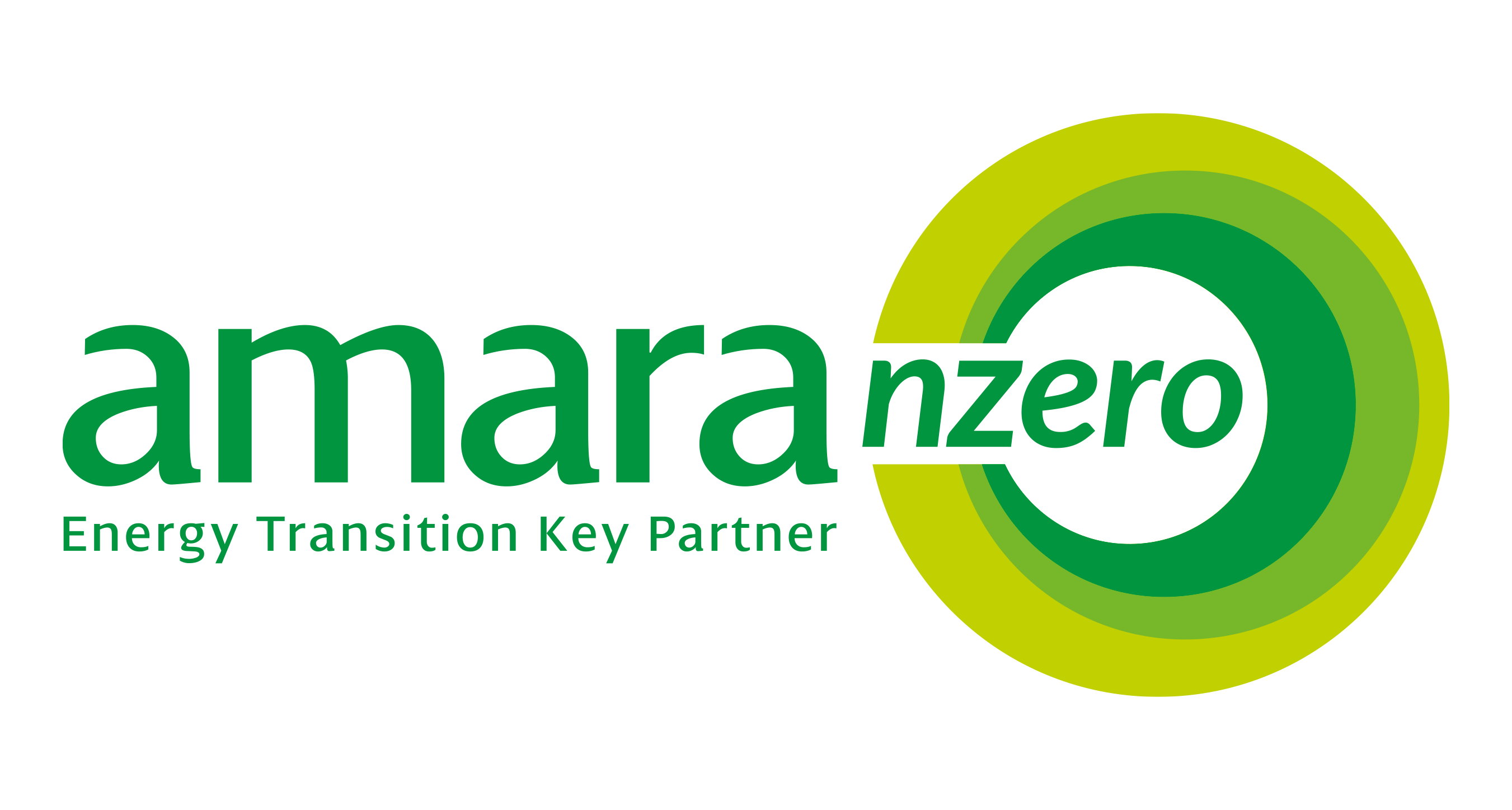 Amara NZero logo
